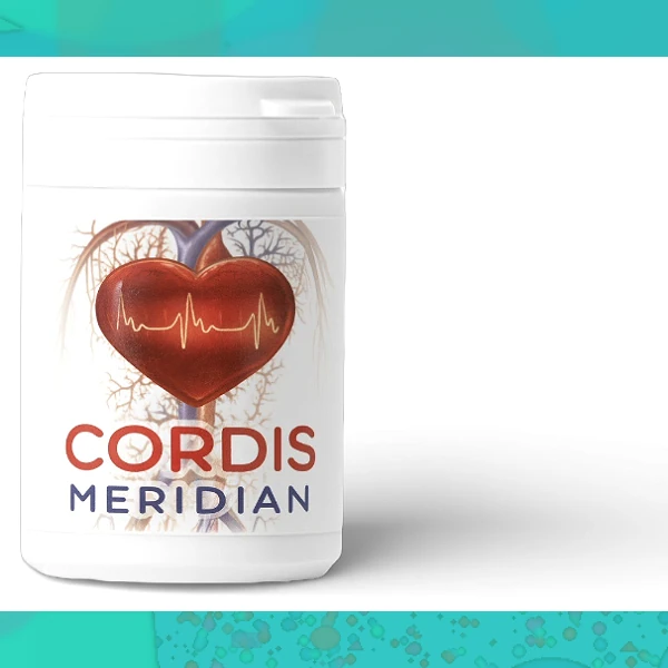 Cordis Meridian