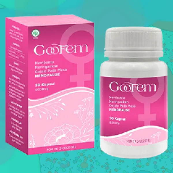 GOOFEM